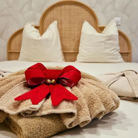 Apartament Hibiscus Duplex Standing A 10min De Et 1h De Paris *